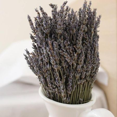Lavandula Ring Tirana Exterior photo