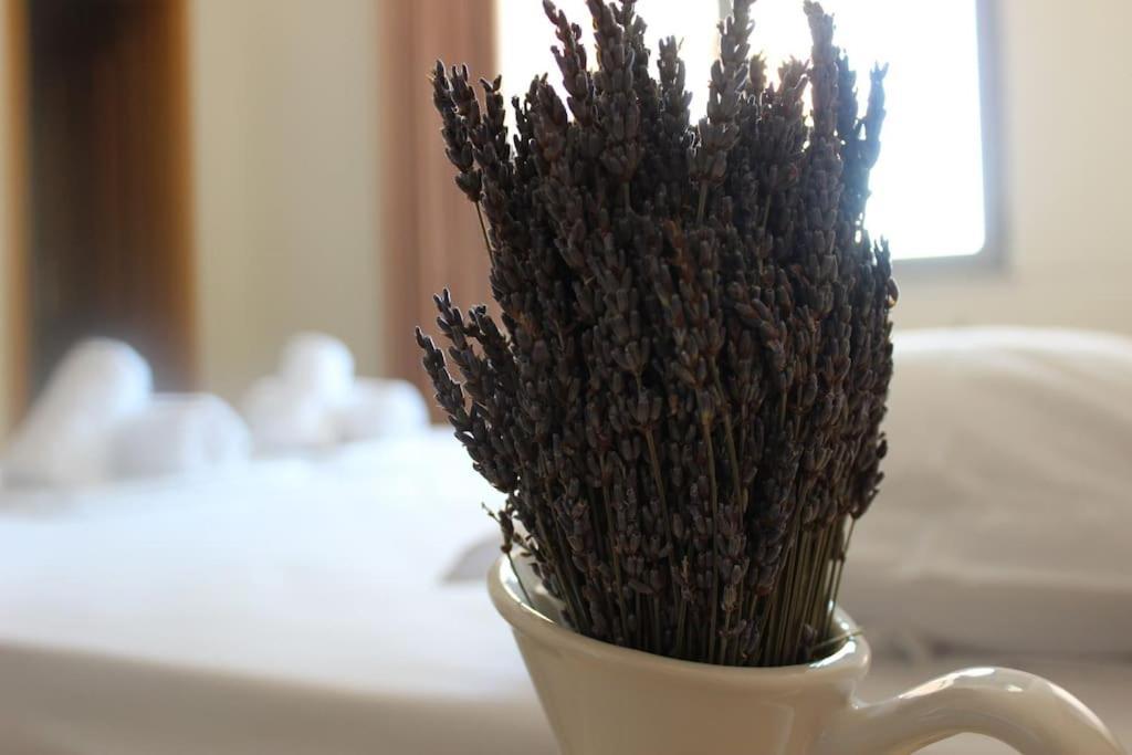 Lavandula Ring Tirana Exterior photo