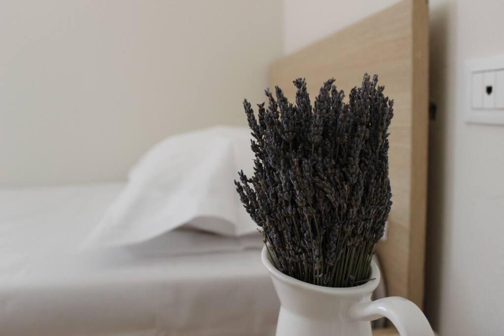 Lavandula Ring Tirana Exterior photo
