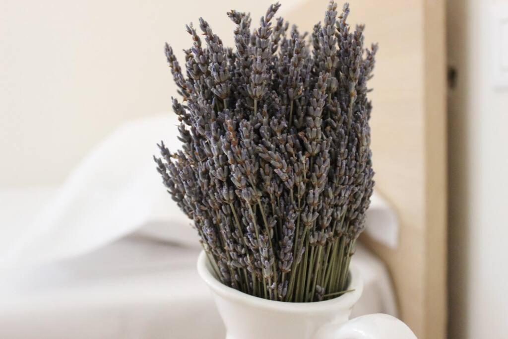 Lavandula Ring Tirana Exterior photo